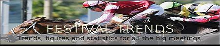 Festival Trends Guides